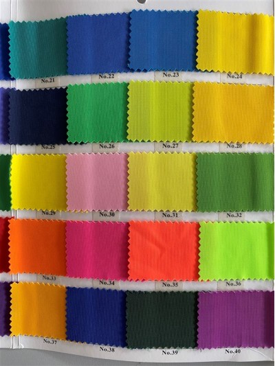 DG-YS  金光絨  門幅：160CM  克重:240G  成分：100%T 後面照